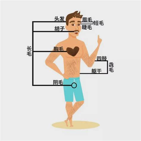 肩膀長毛|肩膀上长了一根很长的毛怎么回事，怎么办